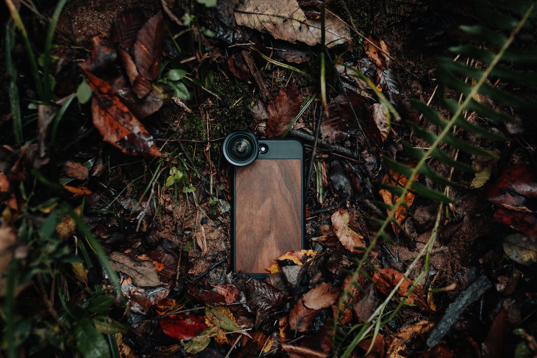 Smartphone with wooden back case and external lens on forest floor with autumn leaves
