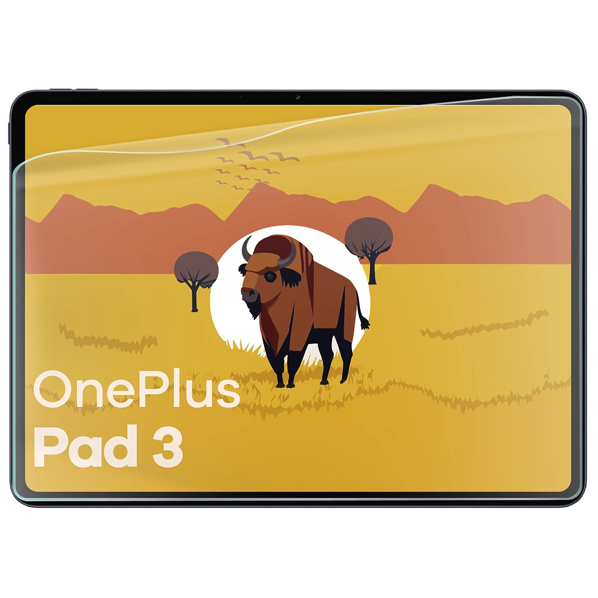 Papierimitationsfolie für OnePlus Pad 3 / 2 Pro / OPPO Pad 4 Pro Bizon Film Tab Papirus Duo, 2 Stück