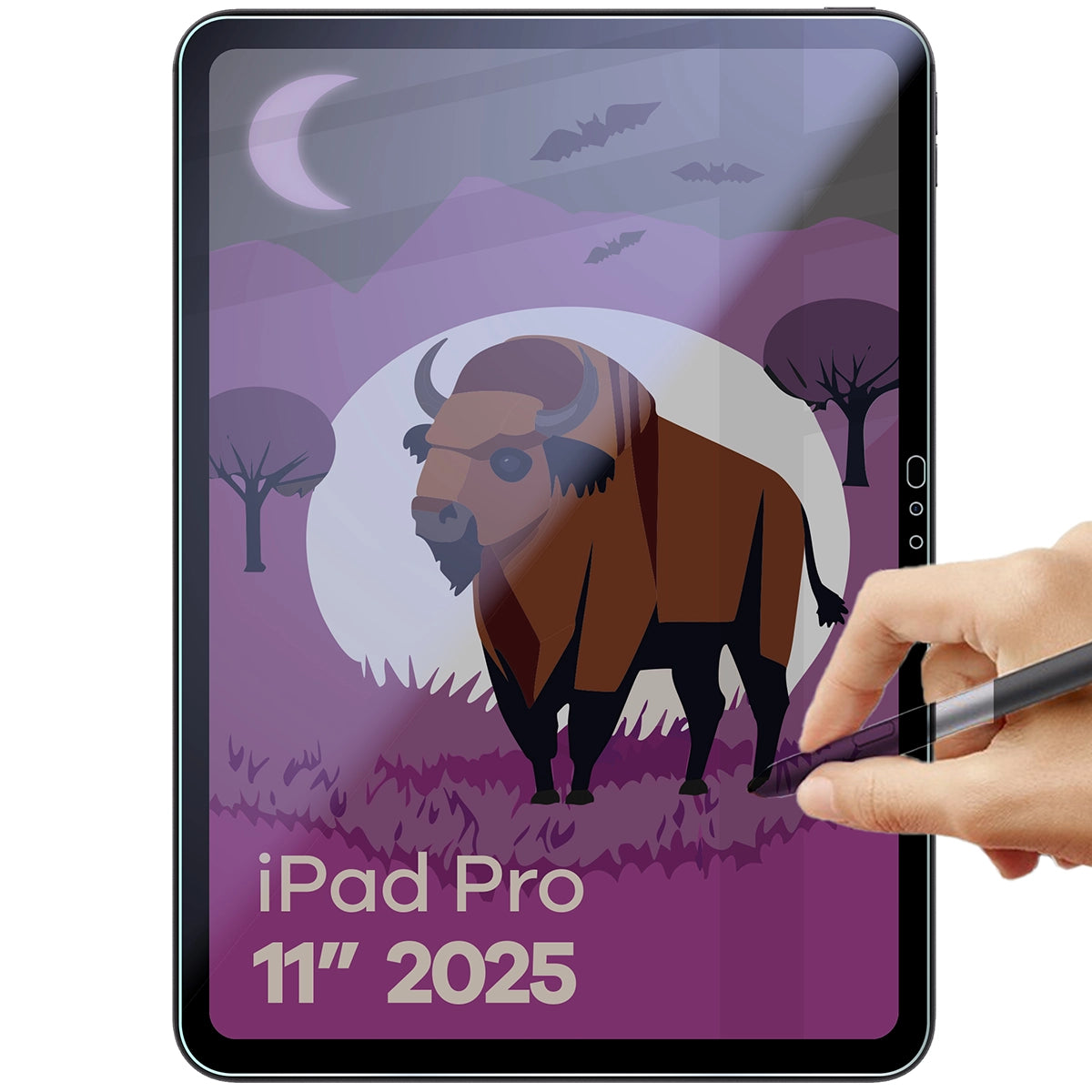 Hybridglas mit Privatschutzfilter für iPad Pro 11" M5 2025, Bizon Tab Hybrid Shadow, Matt