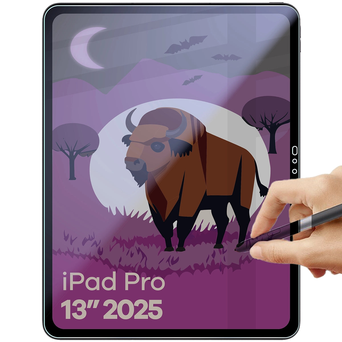 Hybridglas mit Privatschutzfilter für iPad Pro 13" M5 2025, Bizon Tab Hybrid Shadow, Matt