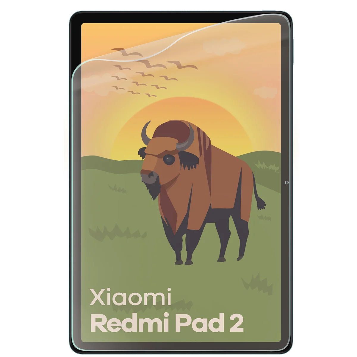 Matte Folie für Xiaomi Redmi Pad 2 9.7", Bizon Tab Film Matte, 1 Stück
