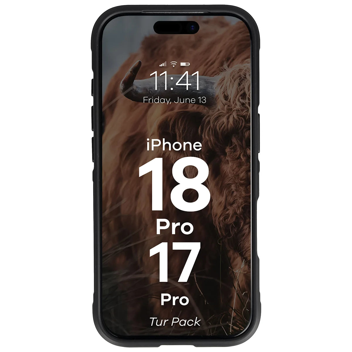 Robuste Handyhülle + gehärtetem Glas für iPhone 18 Pro / 17 Pro, Bizon Tur Pack, Schwarz