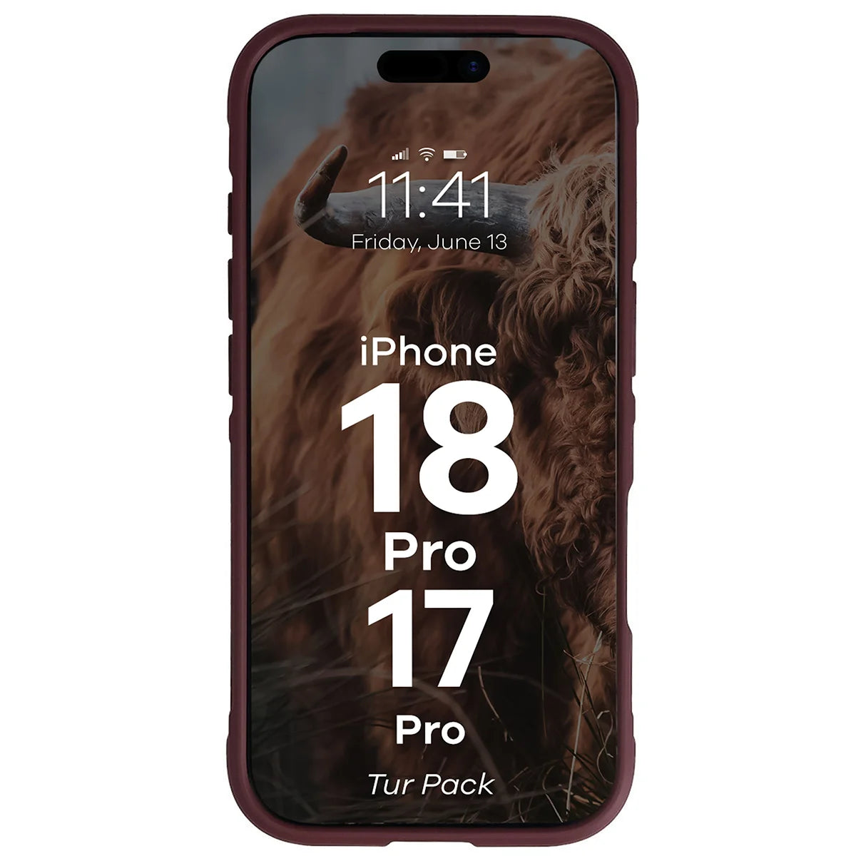 Robuste Handyhülle + gehärtetem Glas für iPhone 17 Pro, Bizon Tur Pack, Burgunderrot