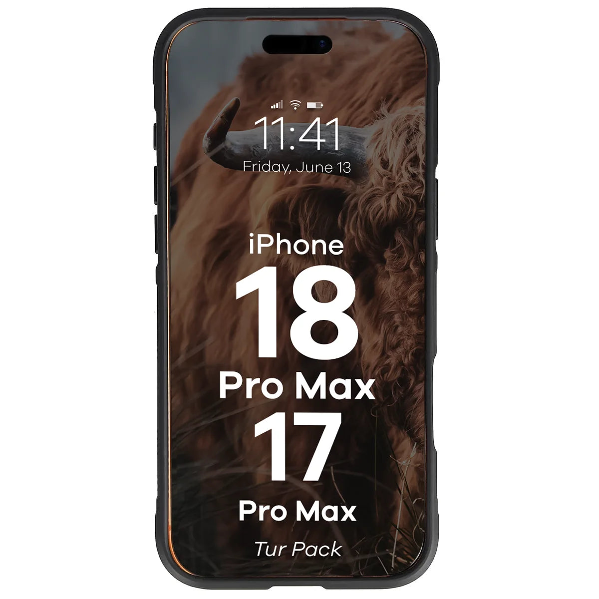 Robuste Handyhülle + gehärtetem Glas für iPhone 18 Pro Max / 17 Pro Max, Bizon Tur Pack, Schwarz