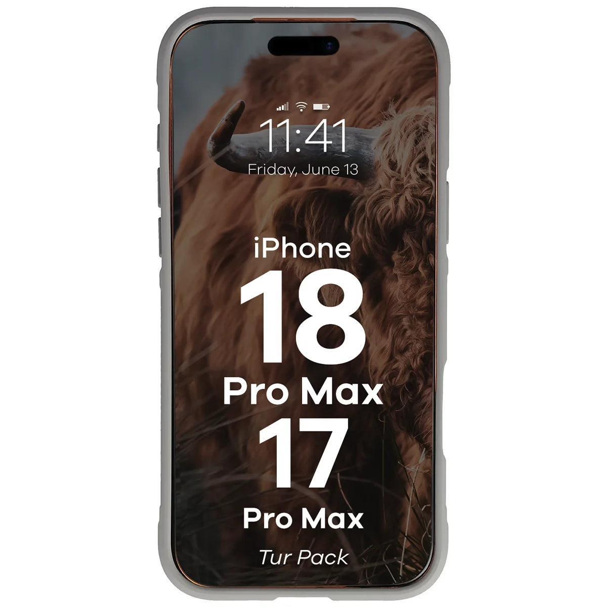 Robuste Handyhülle + gehärtetem Glas für iPhone 18 Pro Max / 17 Pro Max, Bizon Tur Pack, Hellgrau