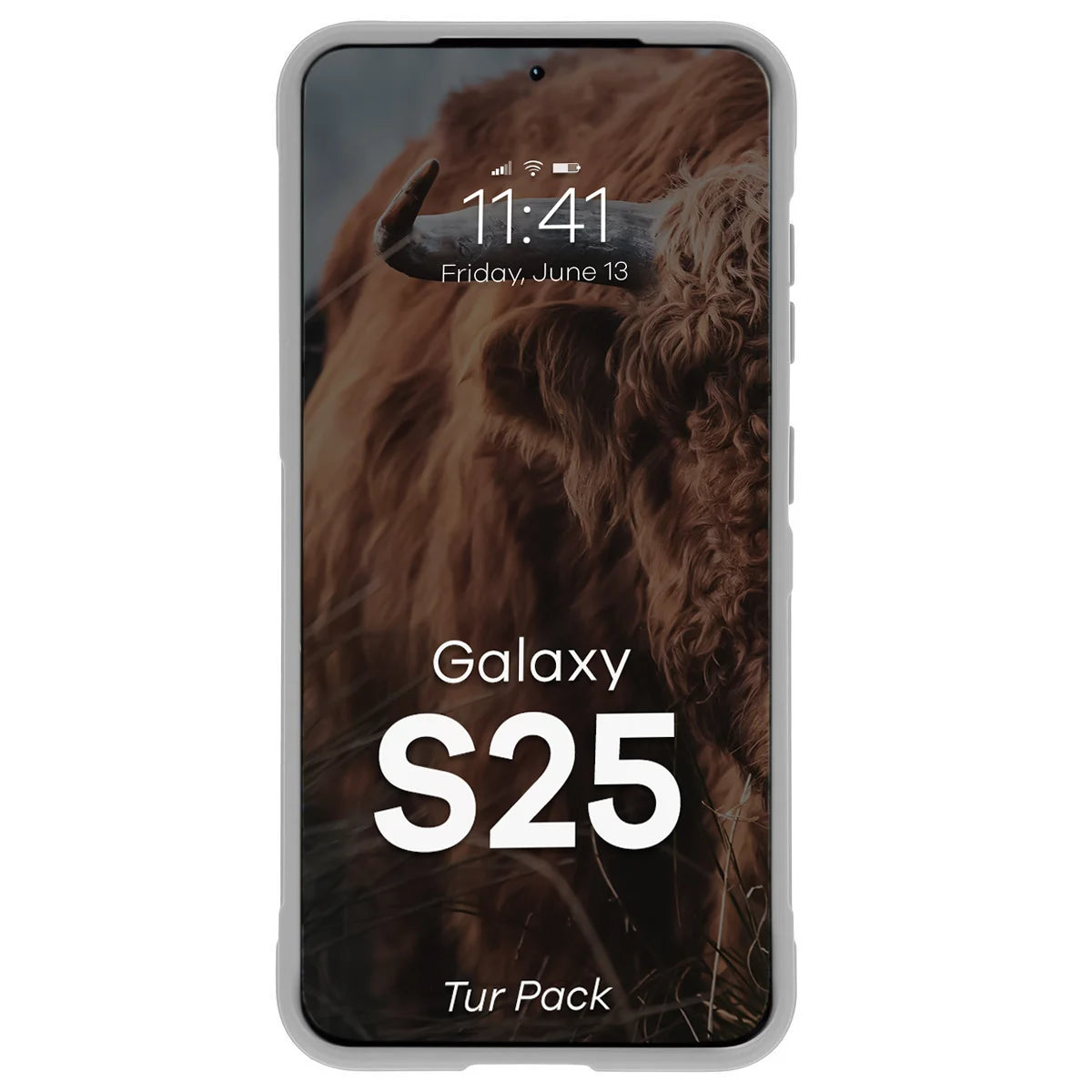 Robuste Handyhülle + gehärtetem Glas für Galaxy S25, Bizon Tur Pack, Hellgrau (6/10)