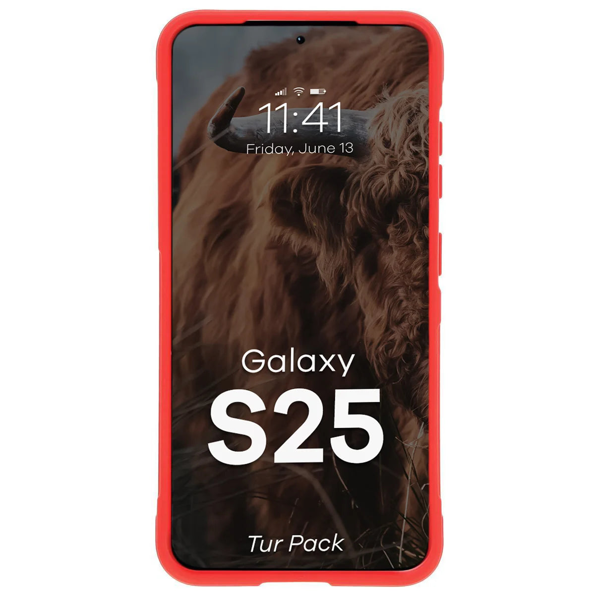 Robuste Handyhülle + gehärtetem Glas für Galaxy S25, Bizon Tur Pack, Rot (6/10)