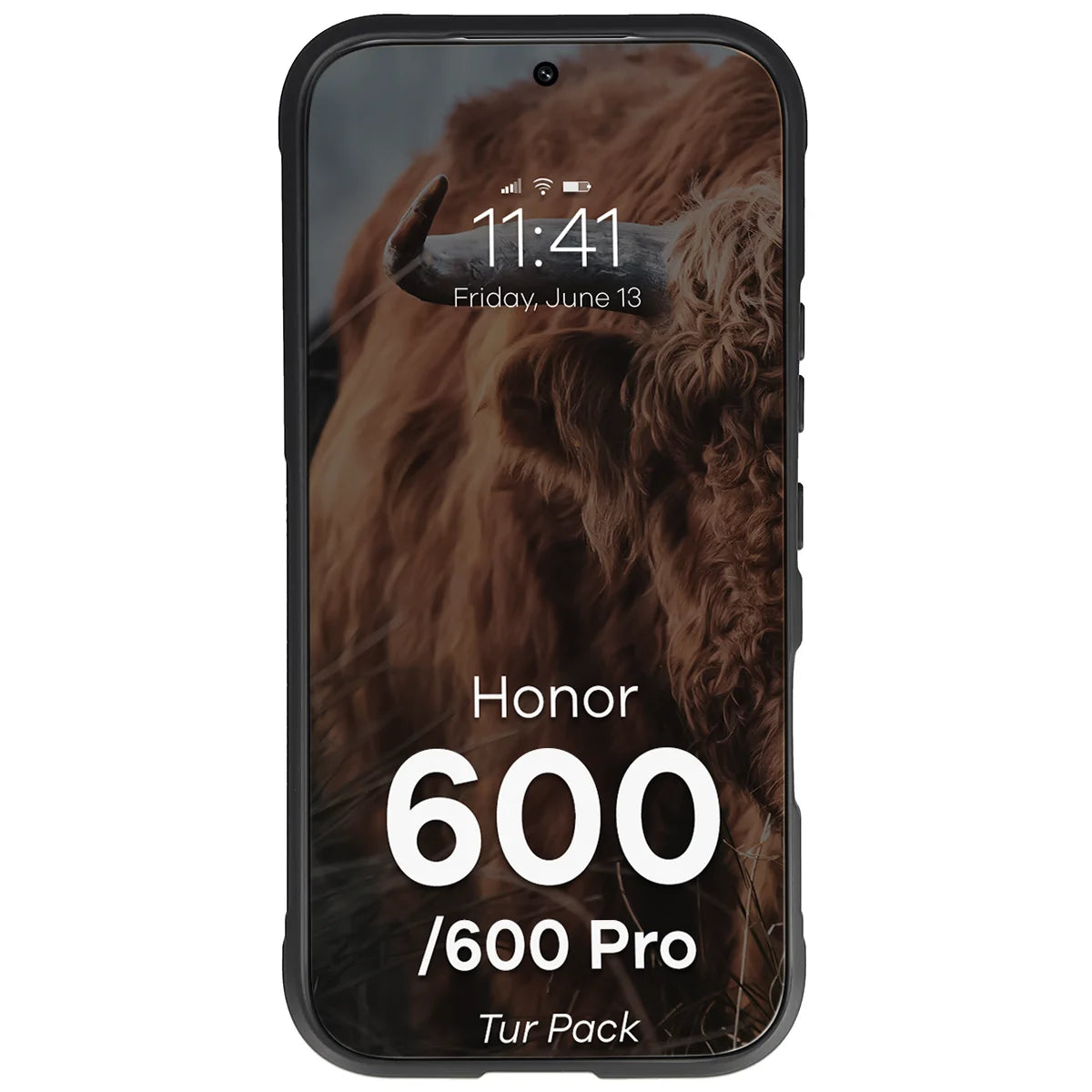 Robuste Handyhülle + gehärtetem Glas für Honor 600 5G / 600 Pro 5G, Bizon Tur Pack, Schwarz