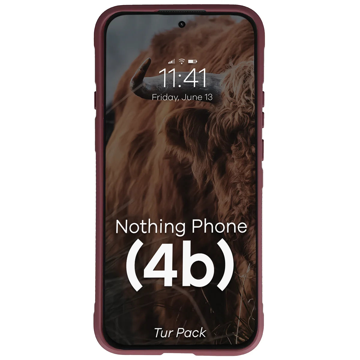 Robuste Handyhülle + gehärtetem Glas für Nothing Phone (4b), Bizon Tur Pack, Burgunderrot (6/10)