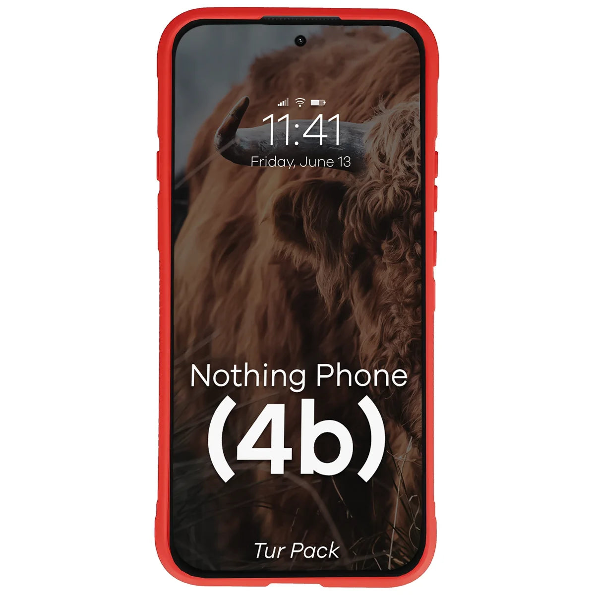 Robuste Handyhülle + gehärtetem Glas für Nothing Phone (4b), Bizon Tur Pack, (6/10)