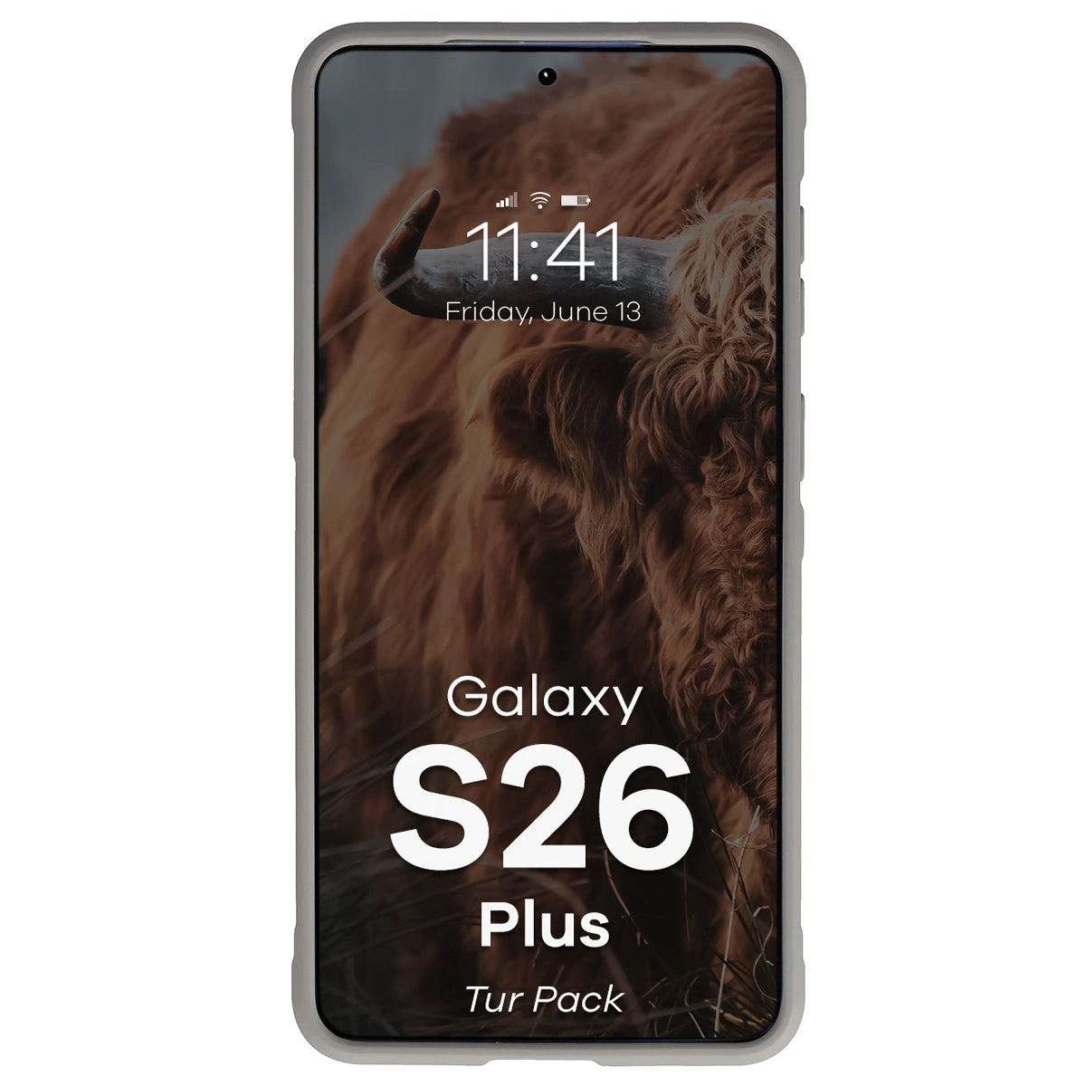 Robuste Handyhülle + gehärtetem Glas für Galaxy S26 Plus, Bizon Tur Pack, Hellgrau
