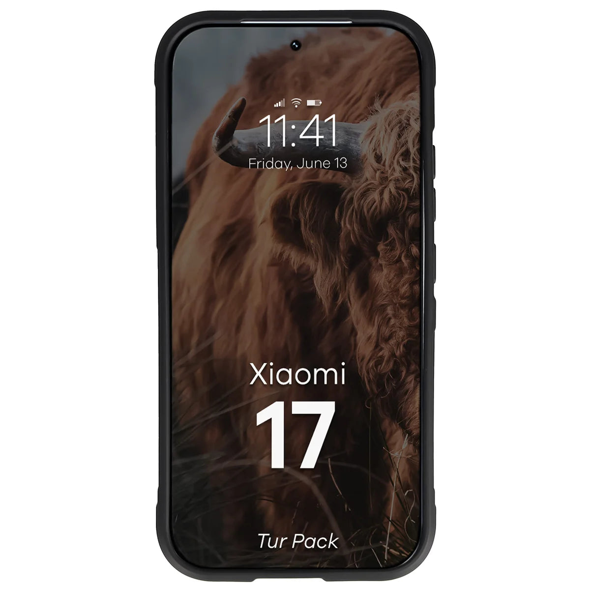 Robuste Handyhülle + gehärtetem Glas für Xiaomi 17, Bizon Tur Pack, Schwarz