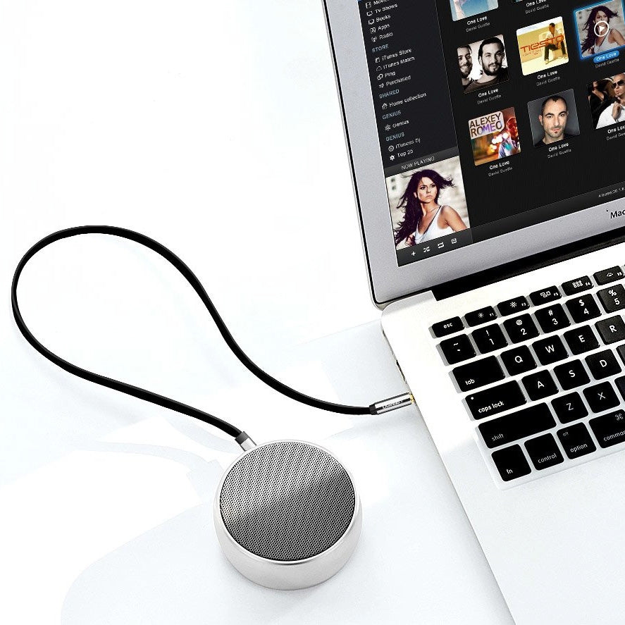 Audiokabel Mini Jack 3,5 mm zu AUX, Ugreen, 1 m, Schwarz mit grauen Steckern