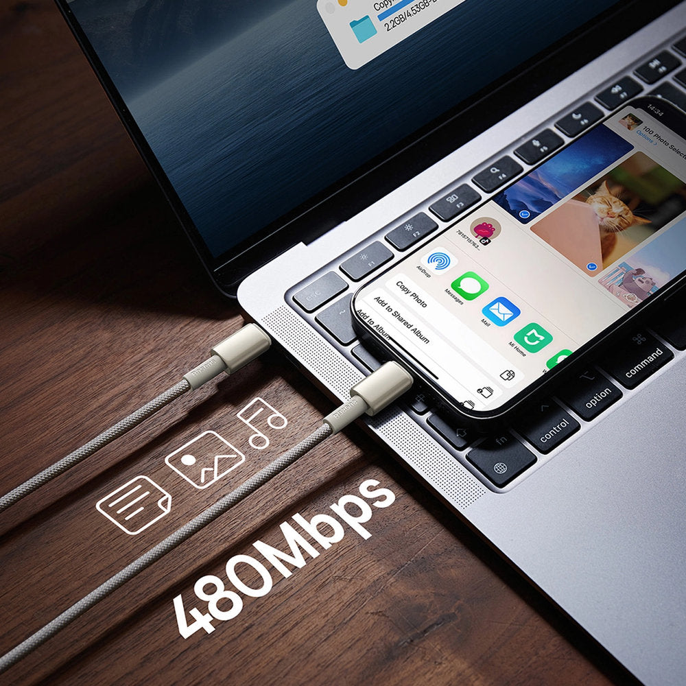 Kabel USB-C zu USB-C, PD 100W, 480Mb/s, 2 m, Baseus Tungsten Gold, Titan