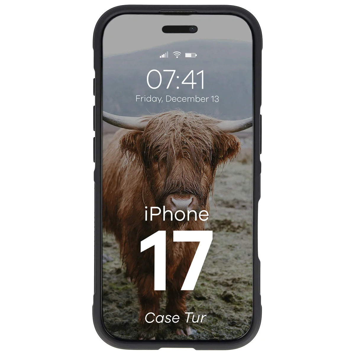 Robuste Handyhülle für iPhone 17, Bizon Case Tur, Schwarz