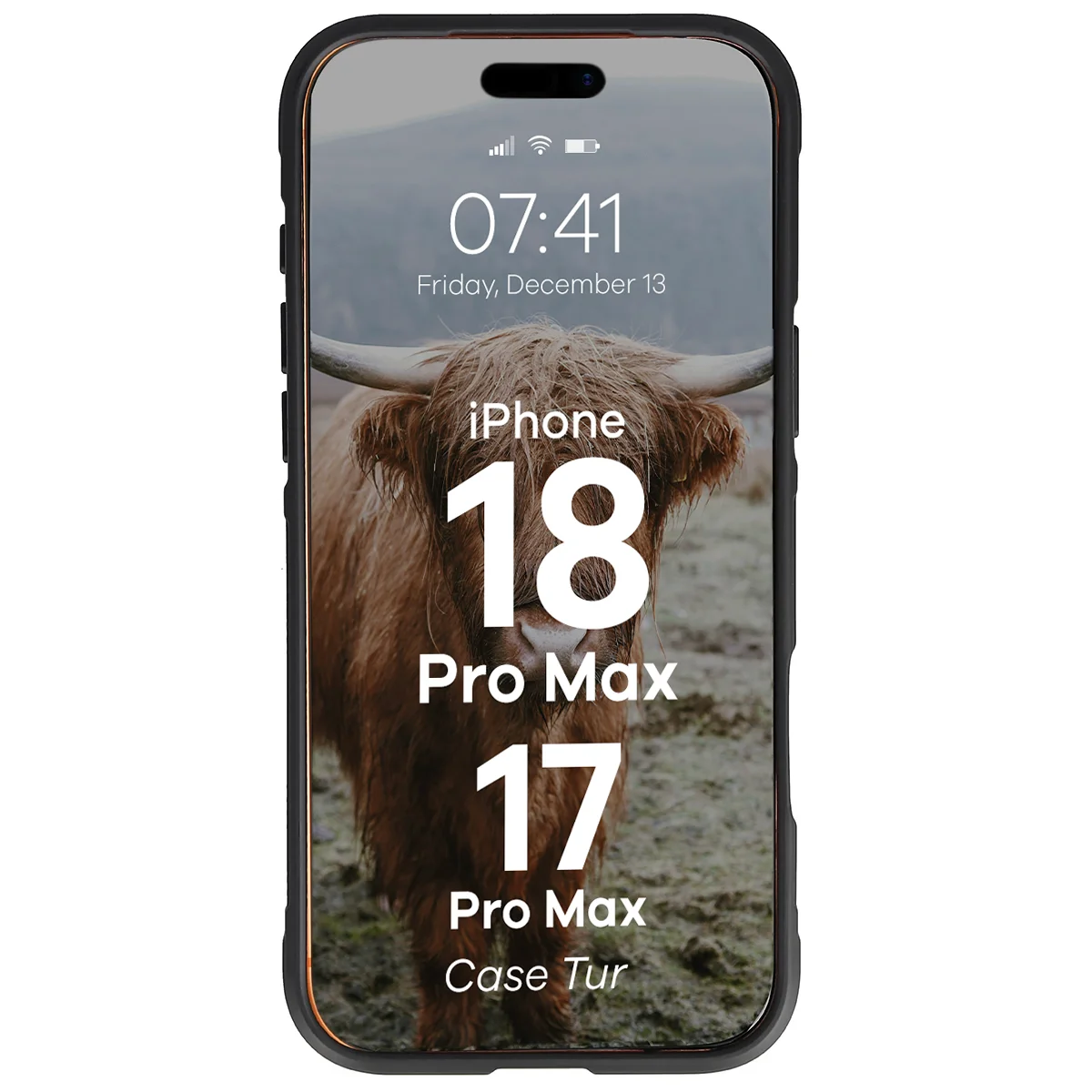 Robuste Handyhülle für iPhone 18 Pro Max / 17 Pro Max, Bizon Case Tur, Schwarz