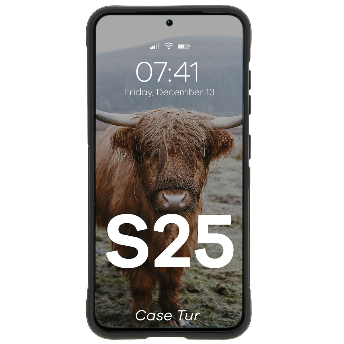 Robuste Handyhülle für Galaxy S25, Bizon Case Tur, Schwarz