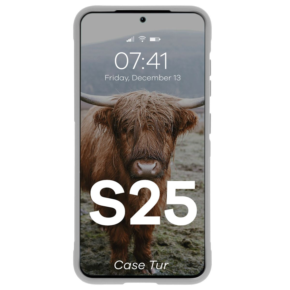 Robuste Handyhülle für Galaxy S25, Bizon Case Tur, Hellgrau