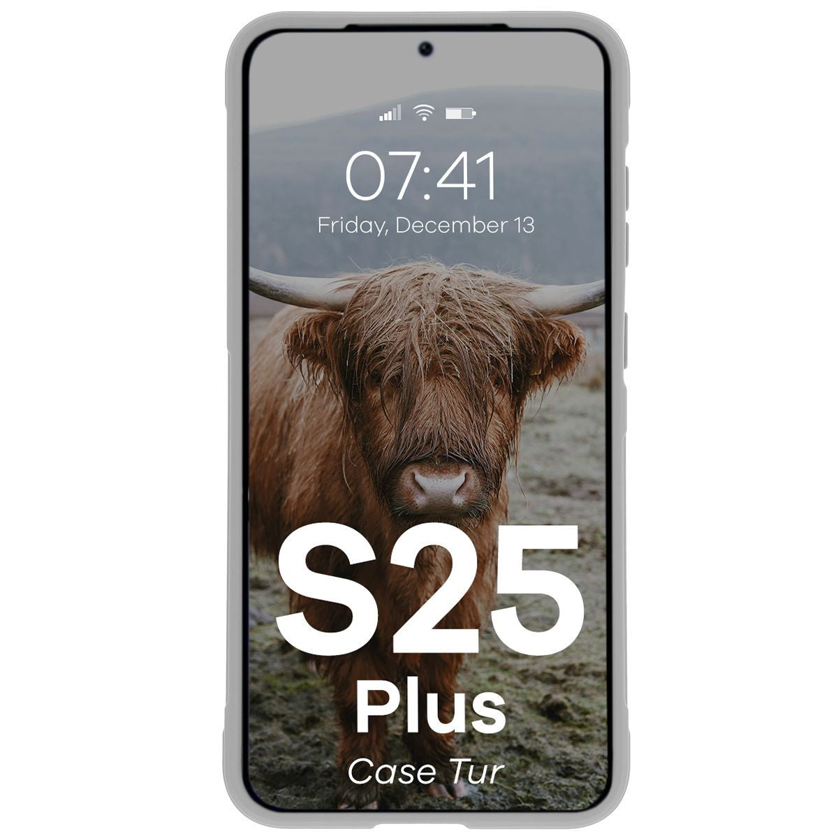 Robuste Handyhülle für Galaxy S25 Plus, Bizon Case Tur, Hellgrau