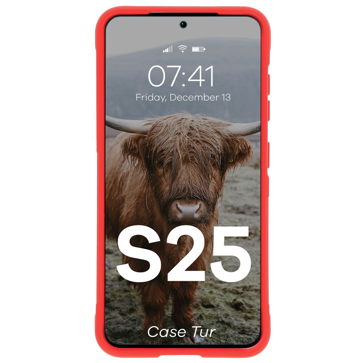 Robuste Handyhülle für Galaxy S25, Bizon Case Tur, Rot