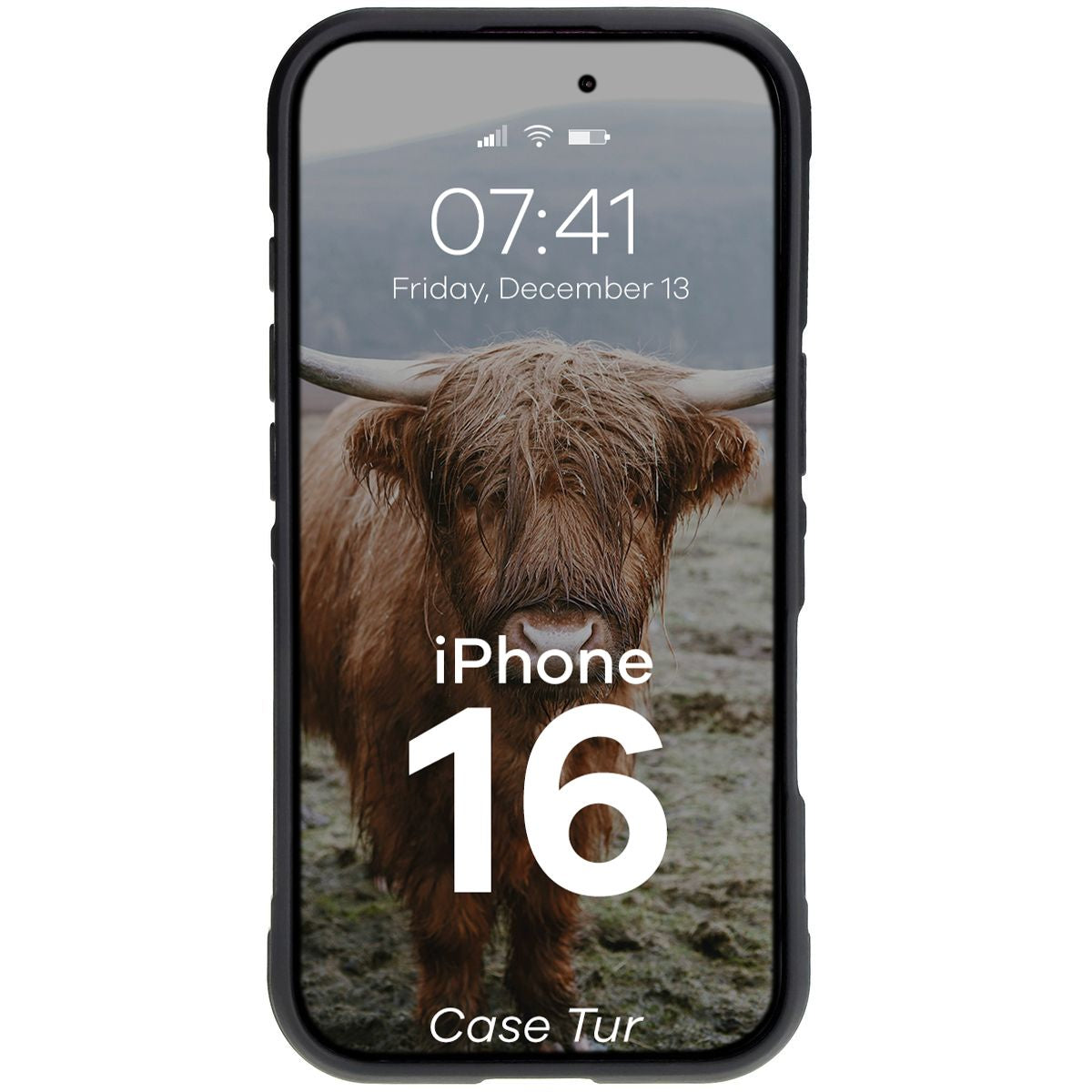 Robuste Handyhülle für iPhone 16, Bizon Case Tur, Schwarz