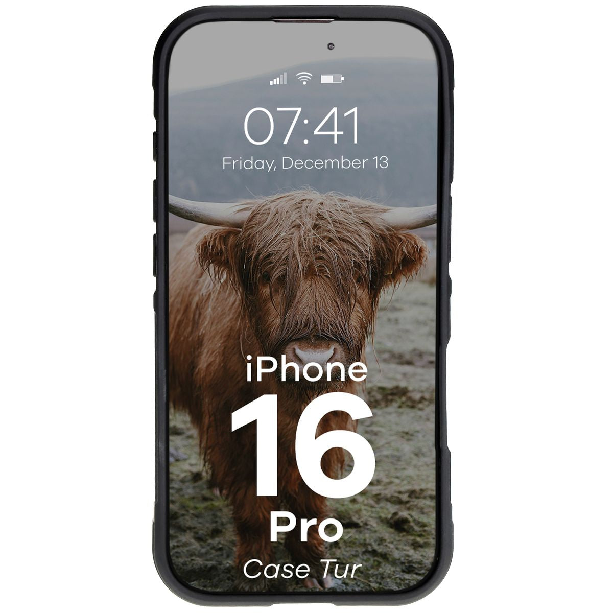 Robuste Handyhülle für iPhone 16 Pro, Bizon Case Tur, Schwarz