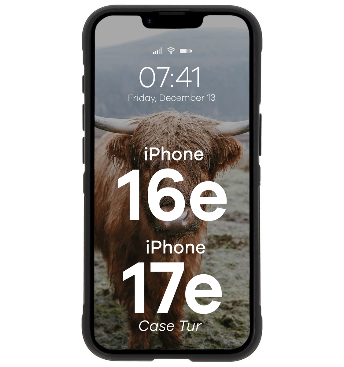 Robuste Handyhülle für iPhone 17e / 16e, Bizon Case Tur, Schwarz