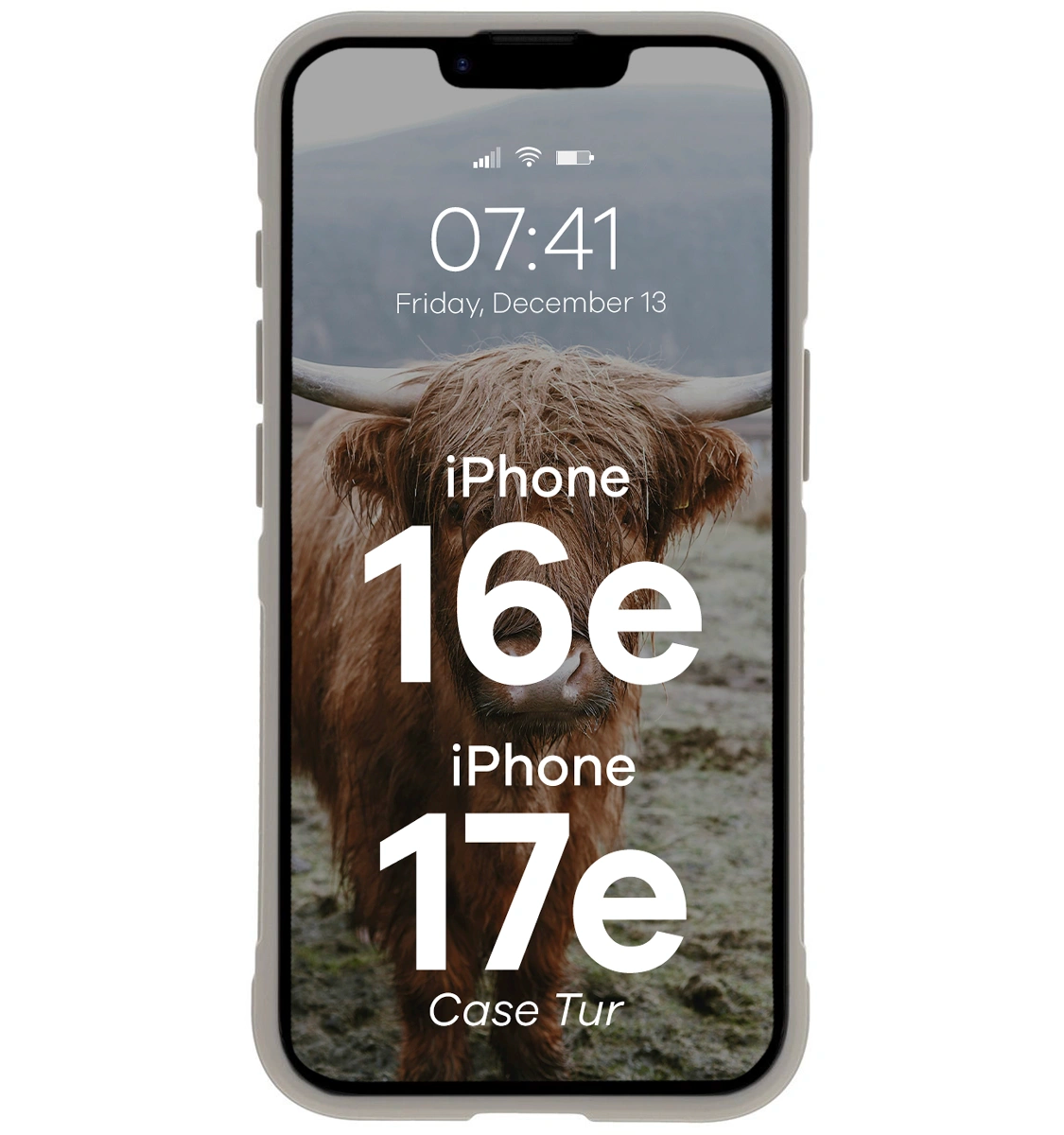 Robuste Handyhülle für iPhone 17e / 16e, Bizon Case Tur, Hellgrau