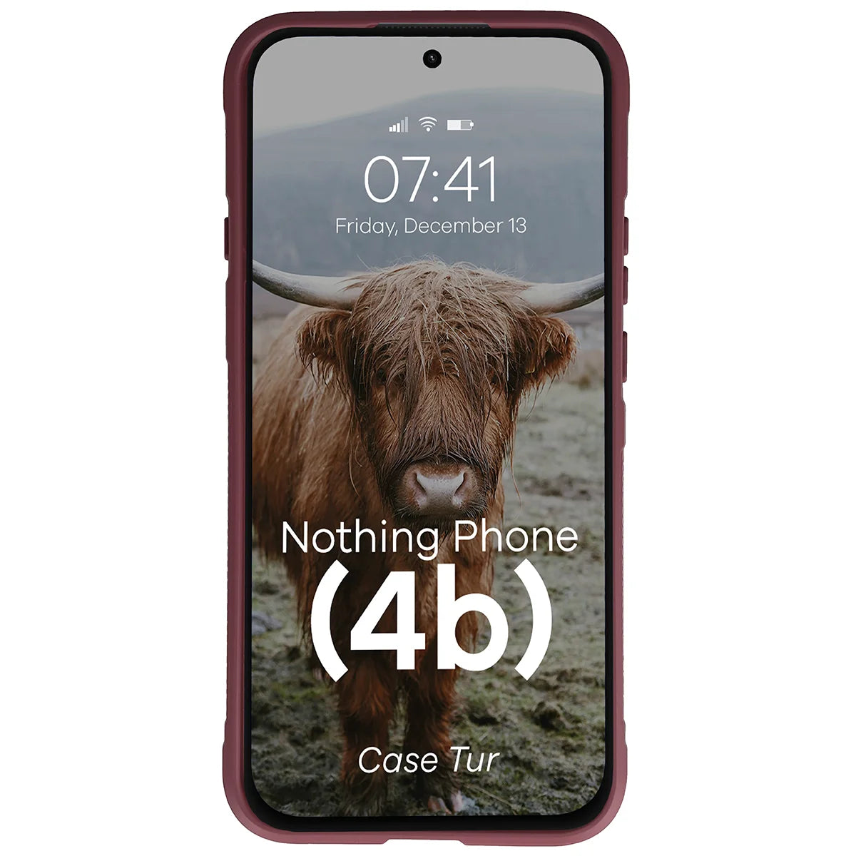 Robuste Handyhülle für Nothing Phone (4b), Bizon Case Tur, Burgunderrot (5/8)