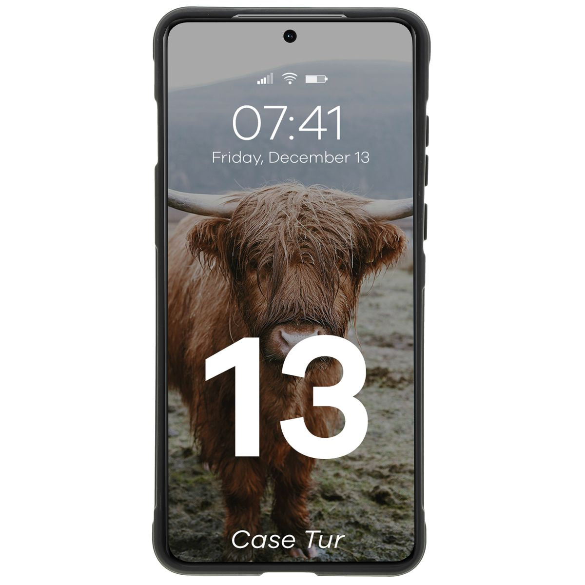 Robuste Handyhülle für OnePlus 13, Bizon Case Tur, Schwarz