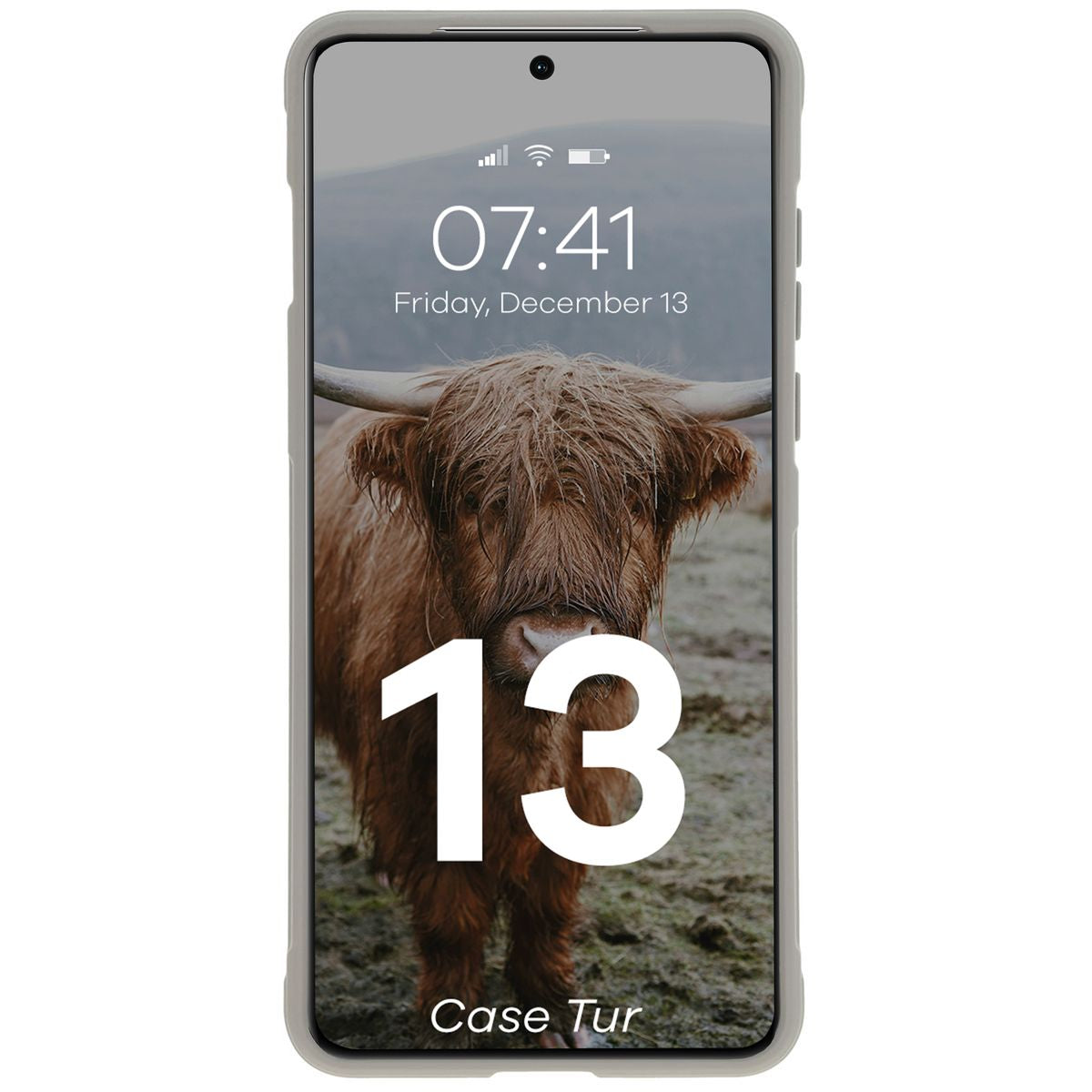 Robuste Handyhülle für OnePlus 13, Bizon Case Tur, Hellgrau