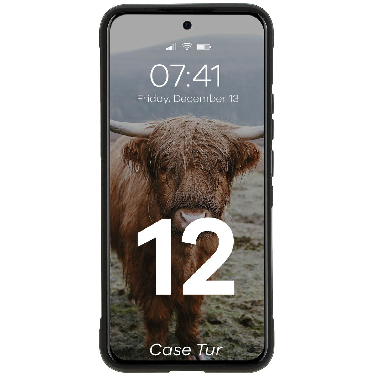 Robuste Handyhülle für Oppo Reno 12, Bizon Case Tur, Schwarz