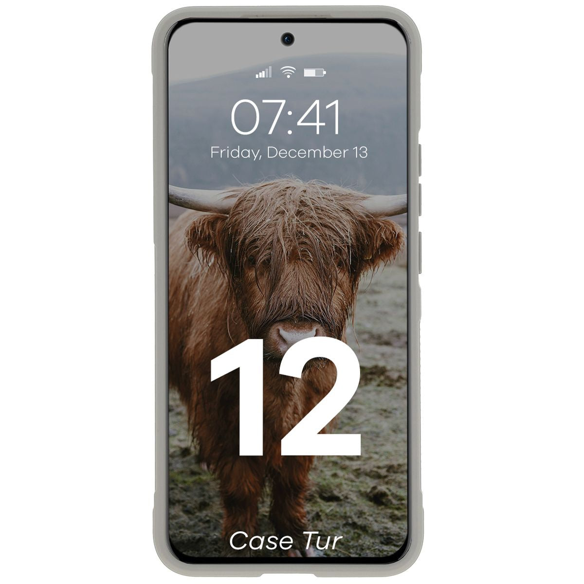 Robuste Handyhülle für Oppo Reno 12, Bizon Case Tur, Hellgrau