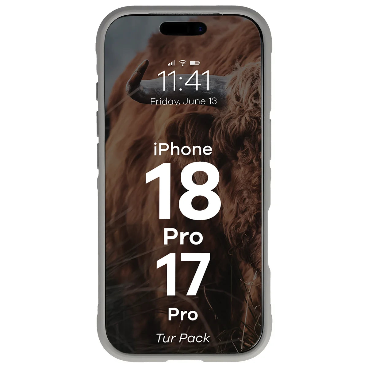 Robuste Handyhülle + gehärtetem Glas für iPhone 18 Pro / 17 Pro, Bizon Tur Pack, Hellgrau (6/10)