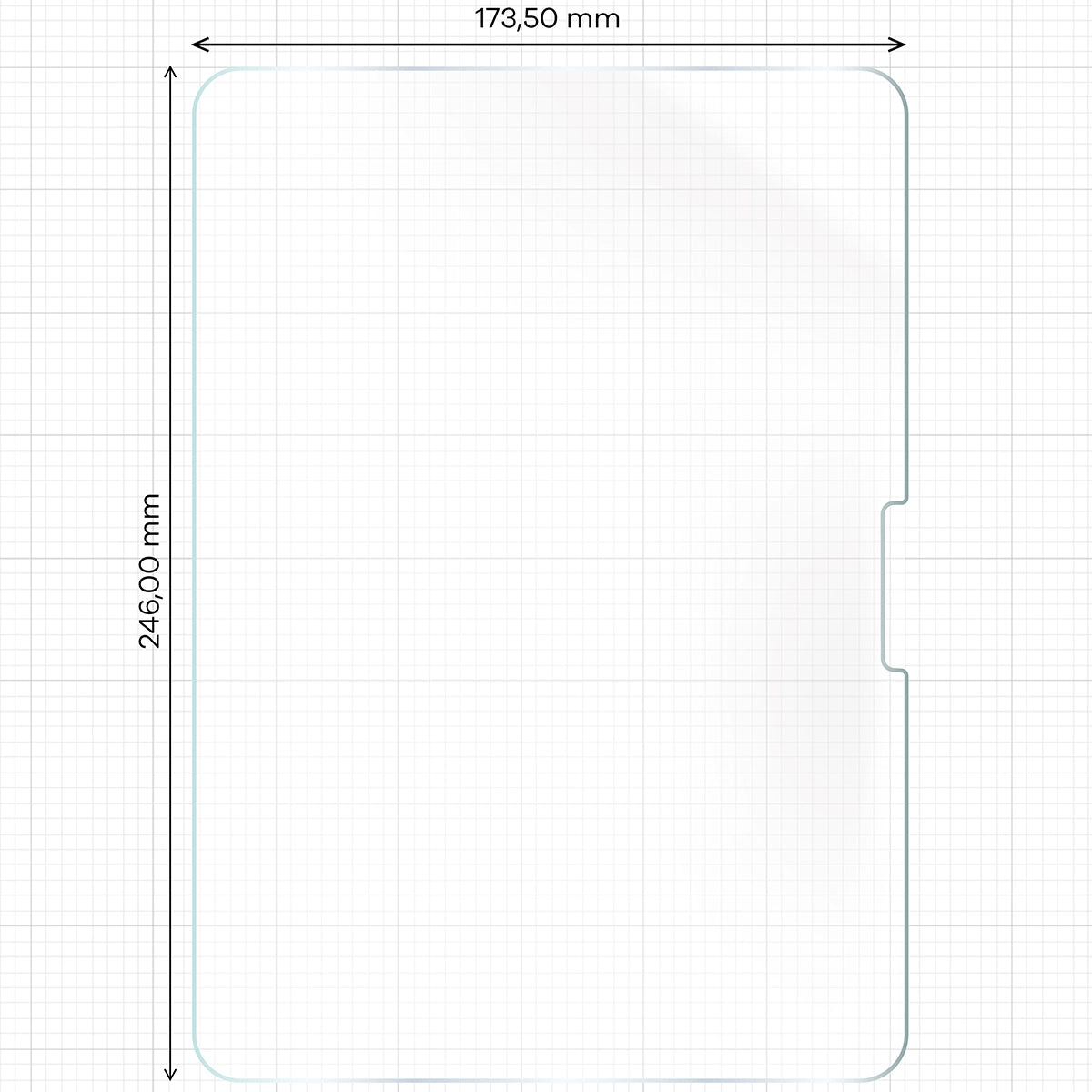 Papierimitationsfolie für iPad Pro 11" 2025 / 2024, Bizon Film Tab Papirus Duo, 2 Stück