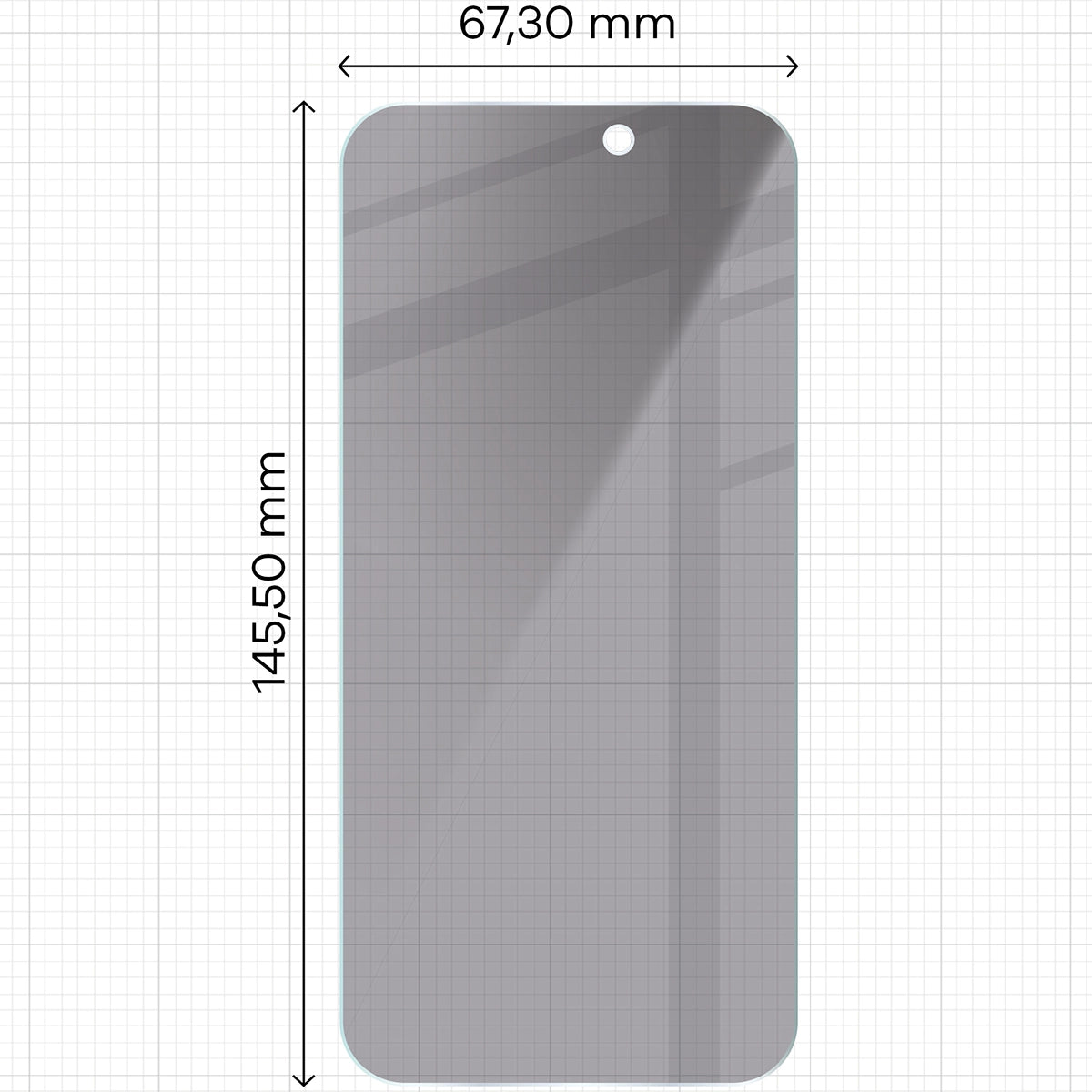 Gehärtetes Glas mit Privatschutzfilter für iPhone 17 Pro / 17 / 16 Pro, Bizon Glass Clear Shadow, getönt