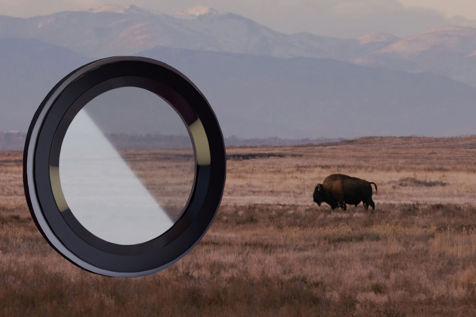 Schwarzes Bizon Glass Snap Lens Kameraschutz für Samsung Galaxy S23 Ultra, gehärtetes Glas, Landschaft mit Bison im Hintergrund