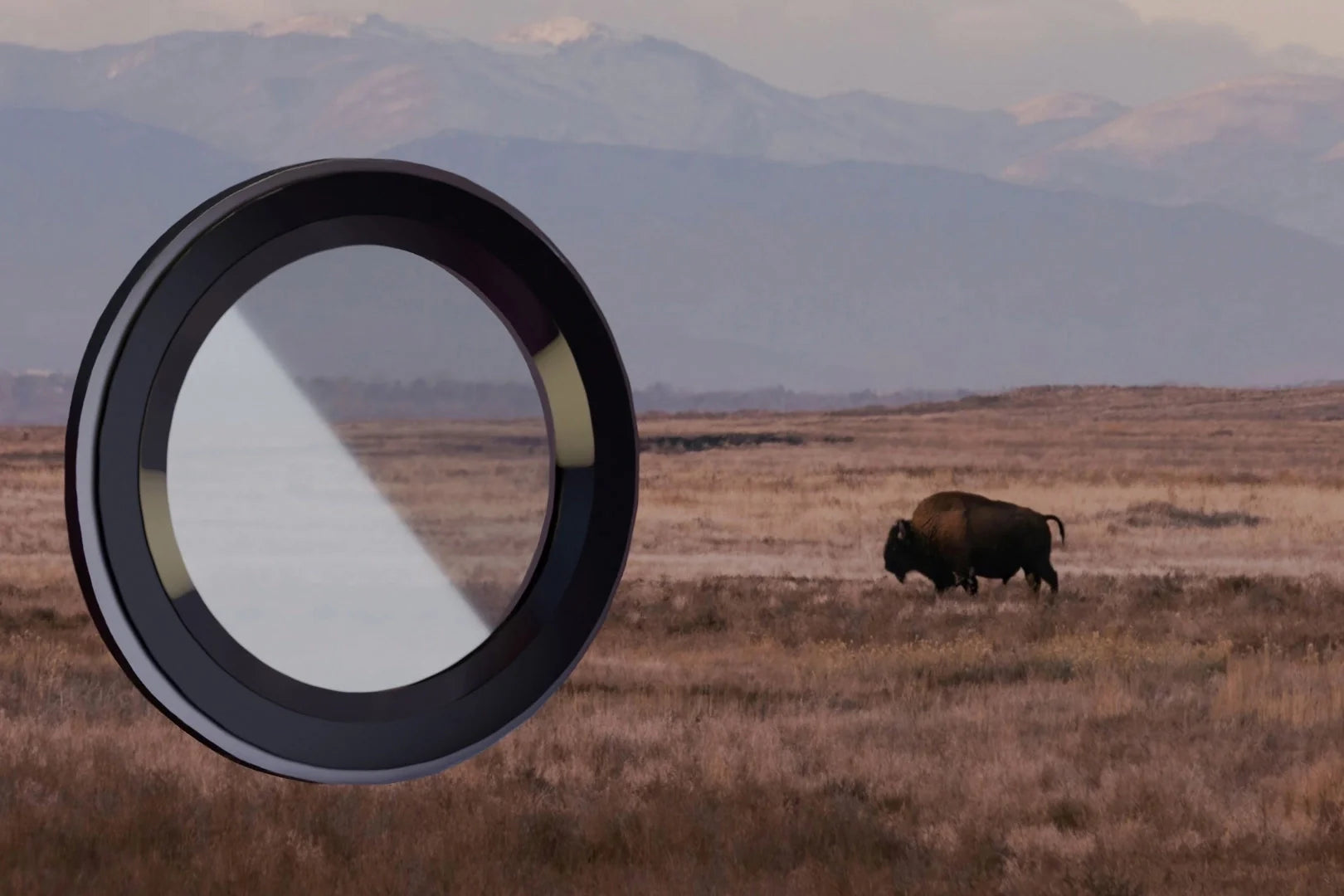 Glas für die Kamera mit Applikator für Galaxy S25 FE, Bizon Glass Snap Lens, 1 Set, Schwarzer Rahmen