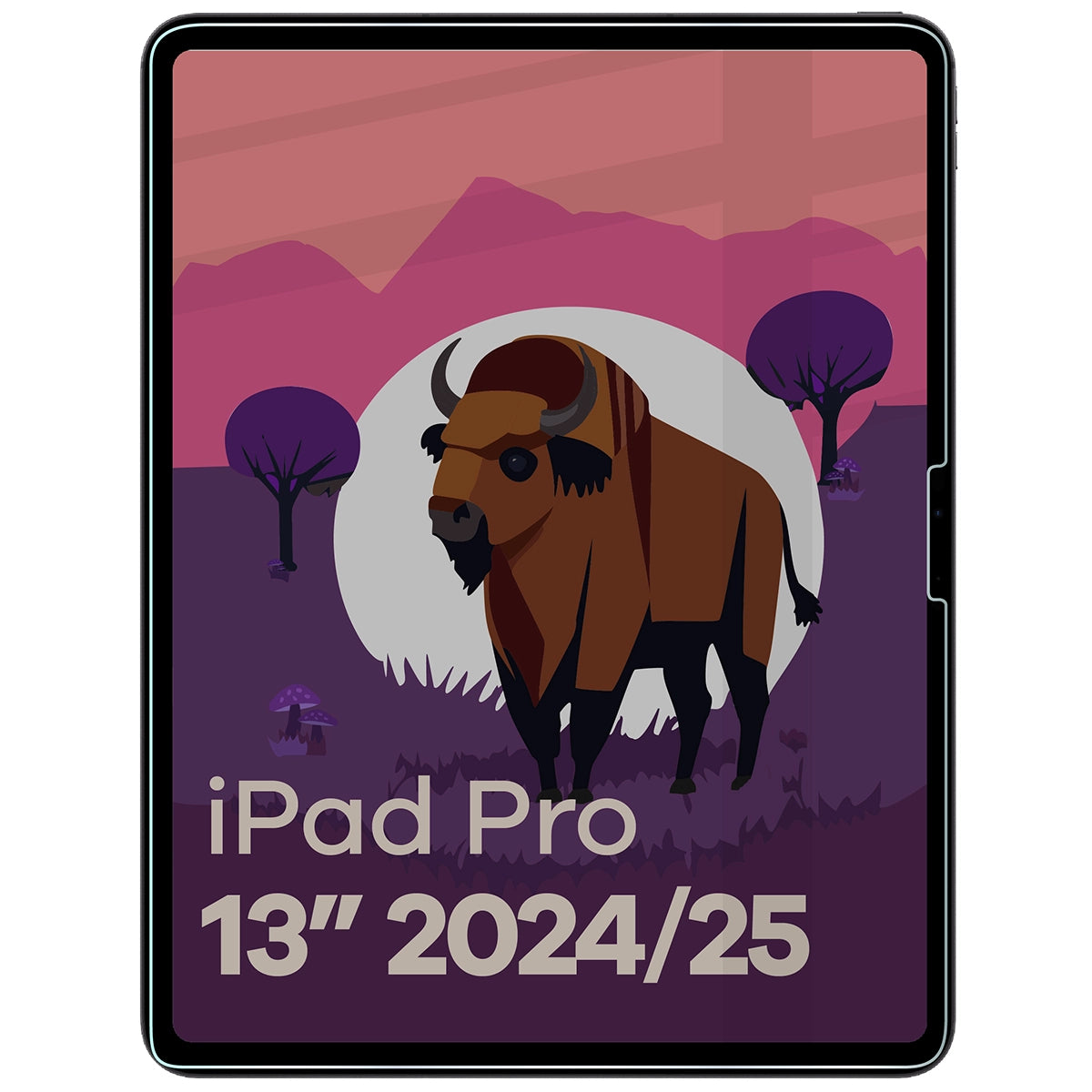 Gehärtetes Glas mit Privatschutzfilter für iPad Pro 13" 2025 / 2024, Bizon Glass Tab Clear Shadow Duo, 2 Stück