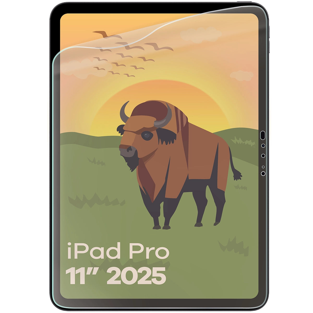 Matte Folie für iPad Pro 11" M5 2025, Bizon Tab Film Sun, 1 Stück