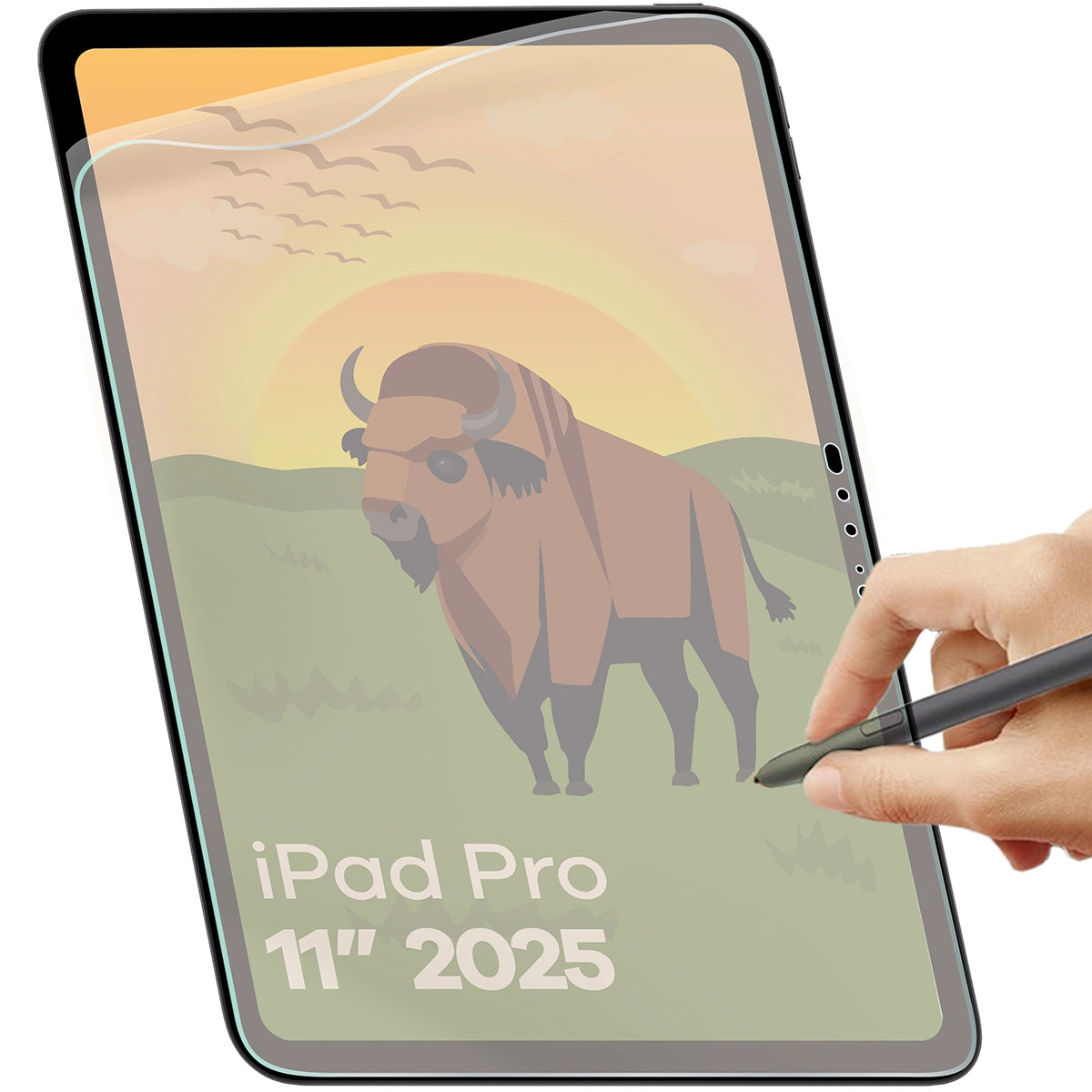 Matte Folie für iPad Pro 11" M5 2025, Bizon Tab Film Sun, 1 Stück