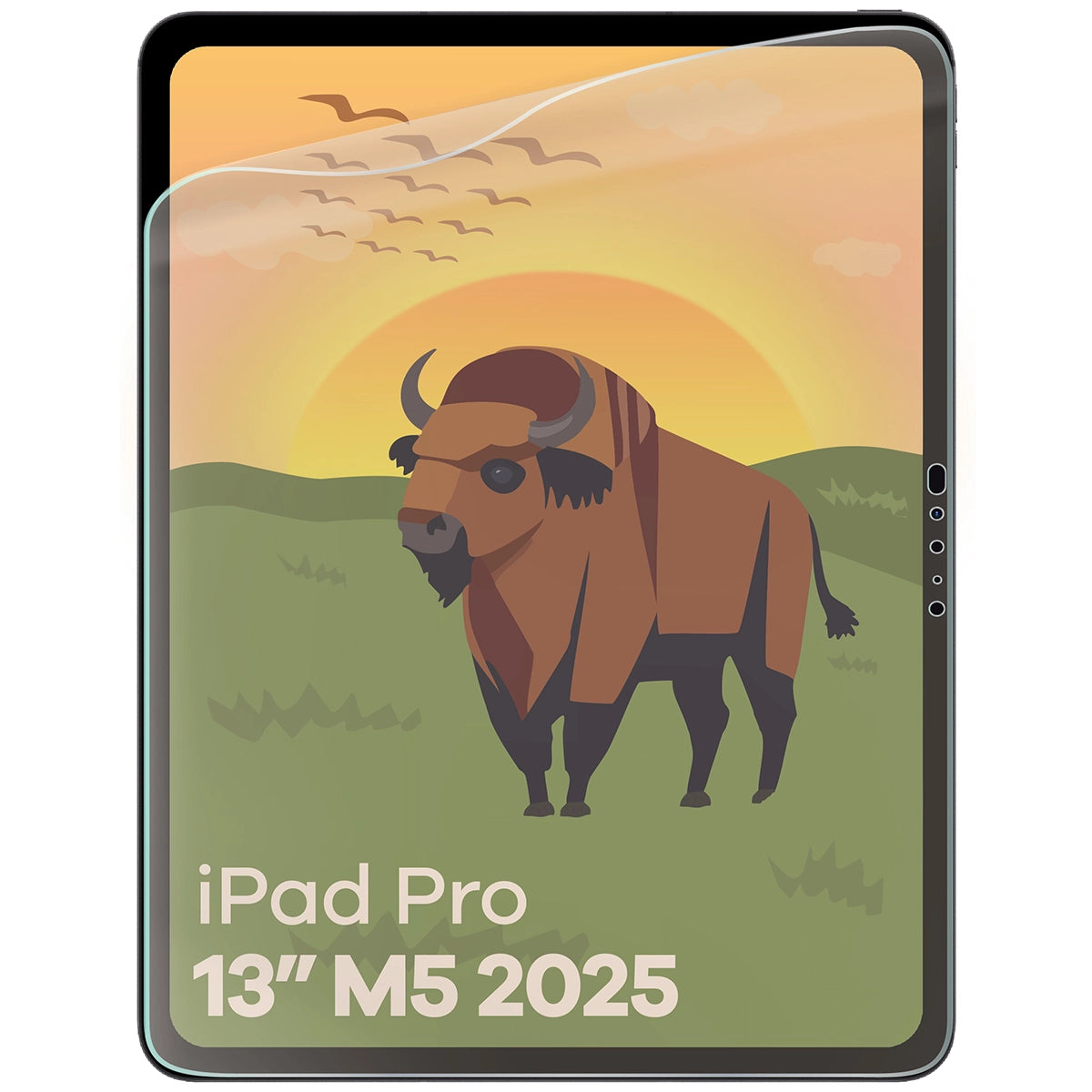 Matte Folie für iPad Pro 13" M5 2025, Bizon Tab Film Sun, 1 Stück