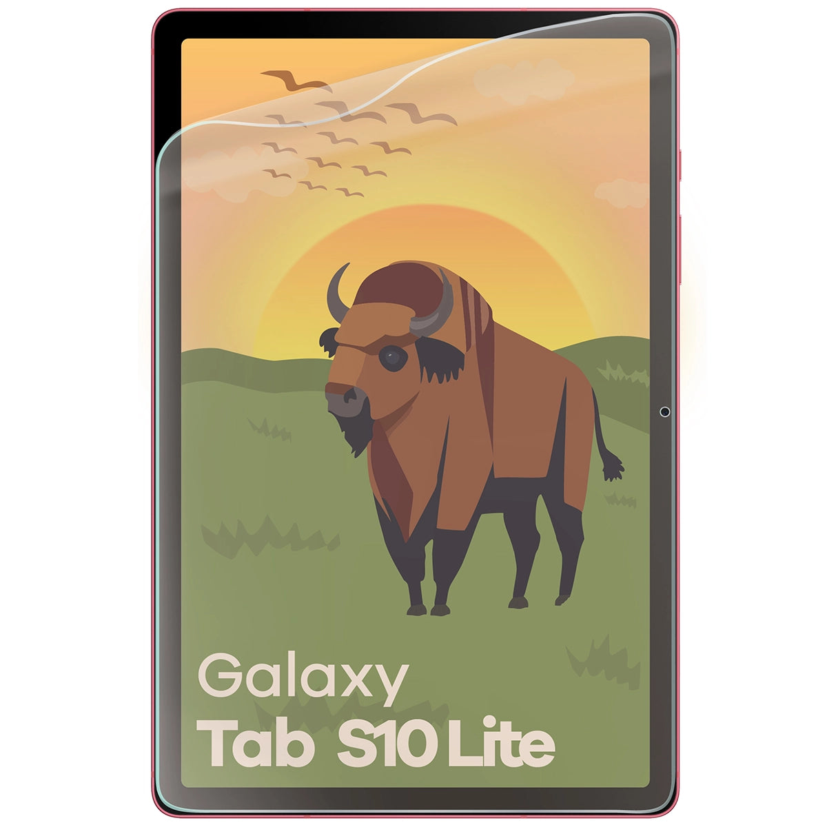 Matte Folie für Galaxy Tab S10 Lite, Bizon Tab Film Sun, 1 Stück