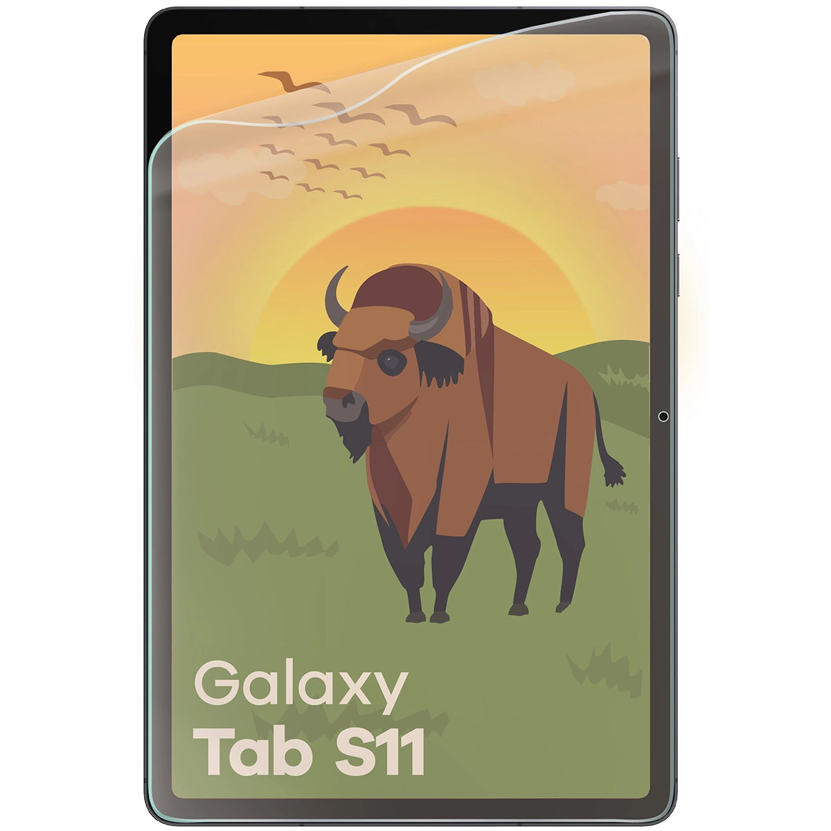 Matte Folie für Galaxy Tab S11, Bizon Tab Film Sun, 1 Stück