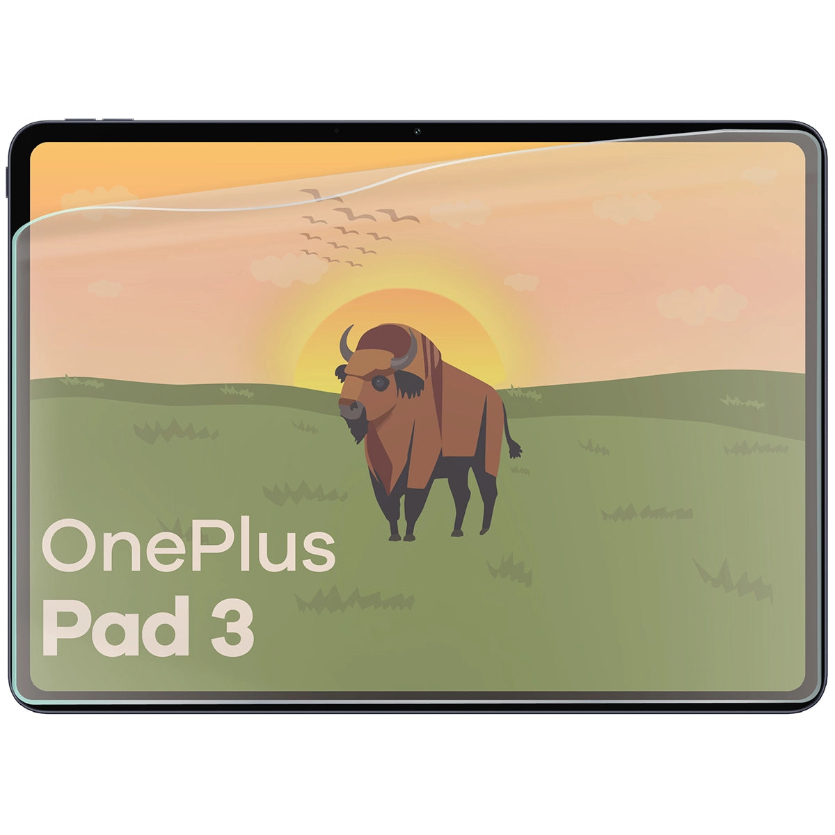 Matte Folie für OnePlus Pad 3, Bizon Glass Tab Film Sun Duo, 2 Stück