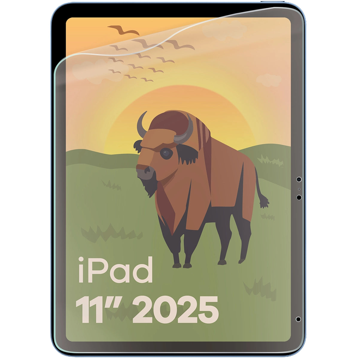 Matte Folie für iPad 11" (A16) 2025, Bizon Tab Film Sun Duo, 2 Stück