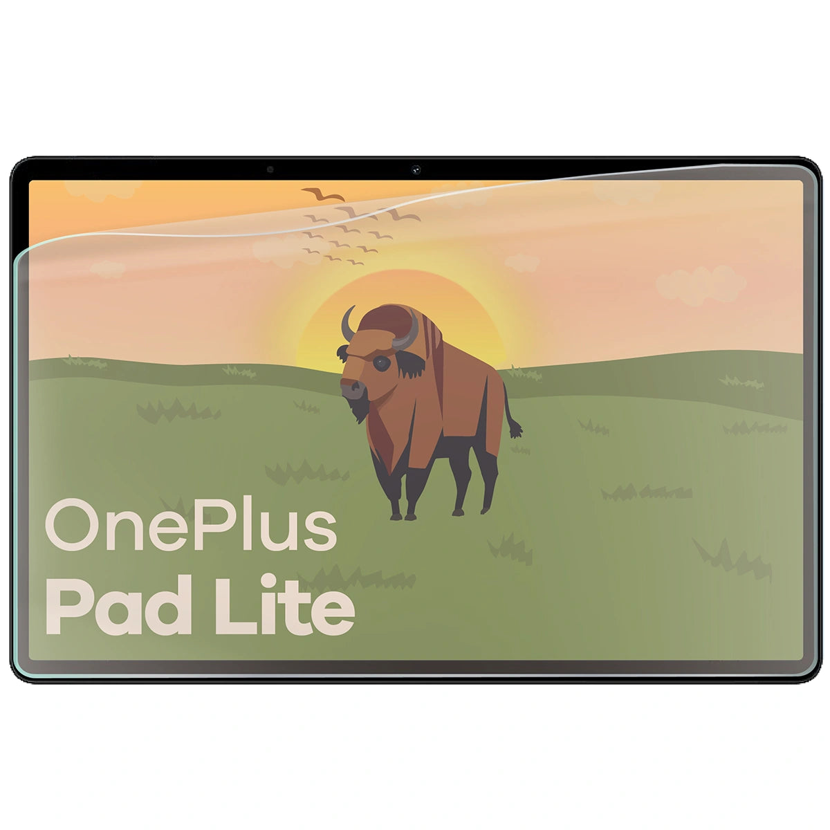 Matte Folie für OnePlus Pad Lite, Bizon Glass Tab Film Sun Duo, 2 Stück