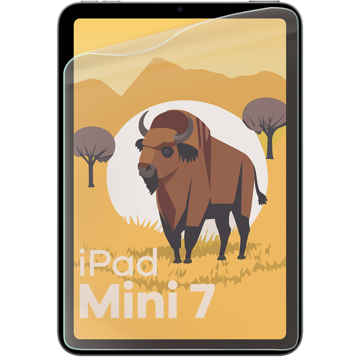 Matte Folie für iPad Mini 7 2024, Bizon Tab Film Sun Duo, 2 Stück