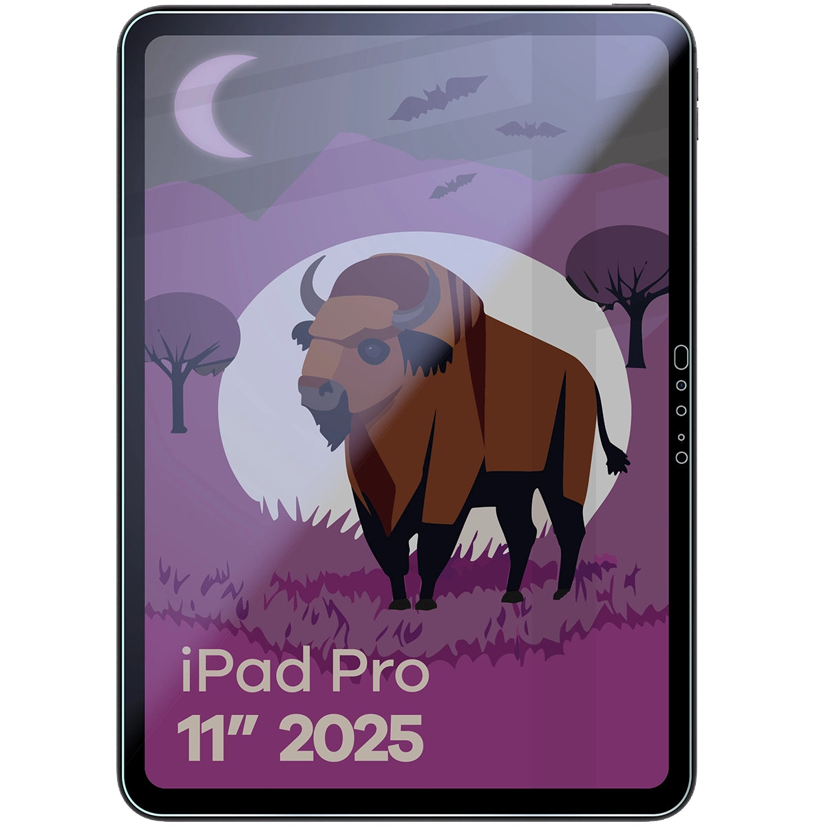 Hybridglas mit Privatschutzfilter für iPad Pro 11" M5 2025, Bizon Tab Hybrid Shadow, Matt