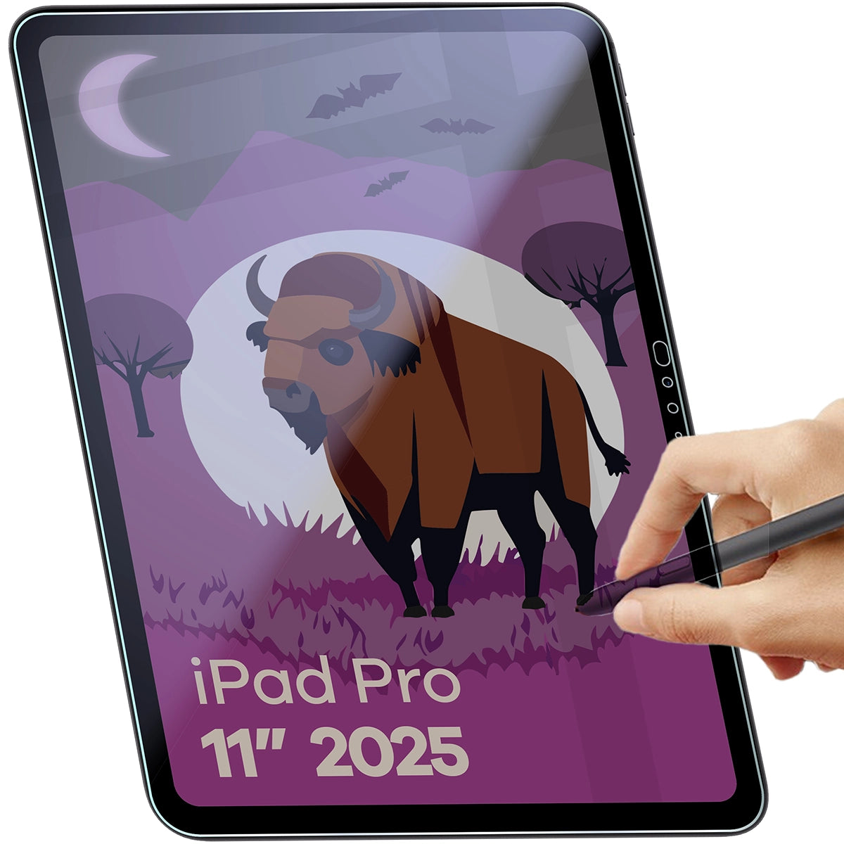 Hybridglas mit Privatschutzfilter für iPad Pro 11" M5 2025, Bizon Tab Hybrid Shadow, Matt